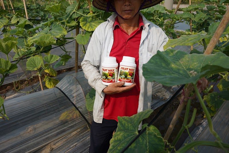 Khách hàng sử dụng FRUIT MAX NPK 8000 trên vườn dưa