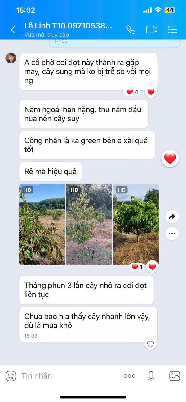 Phản hồi khách hàng sử dụng phân bón AGRIAMIN NPK 8000